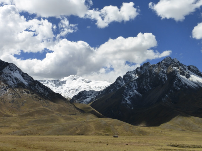 La Raya Pass - Vegetarian Peru Adventures
